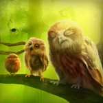 owls trial android application logo